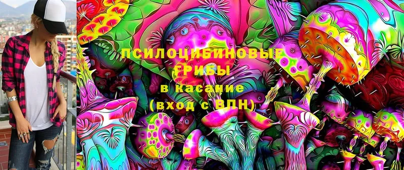 цены   гидра ссылки  Галлюциногенные грибы Magic Shrooms  Инза 